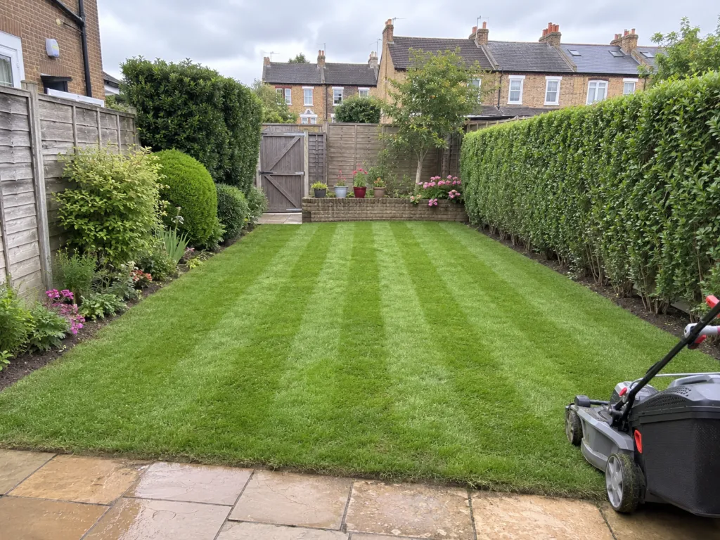 Garden Maintenance by Pepa Cleaning