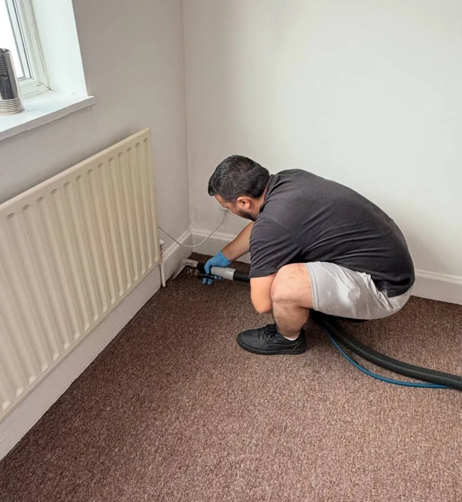 Carpet Cleaning by Pepa Cleaning