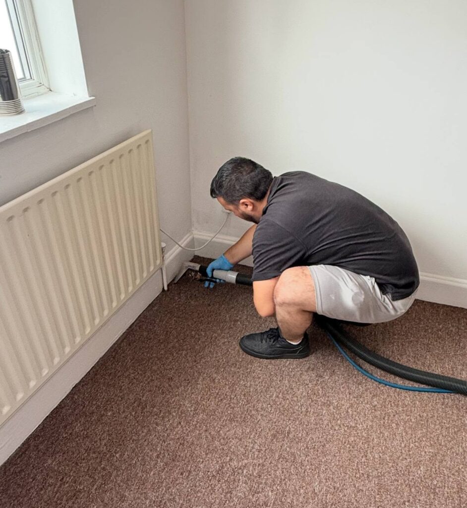 Carpet deep cleaning in progress in a London home
