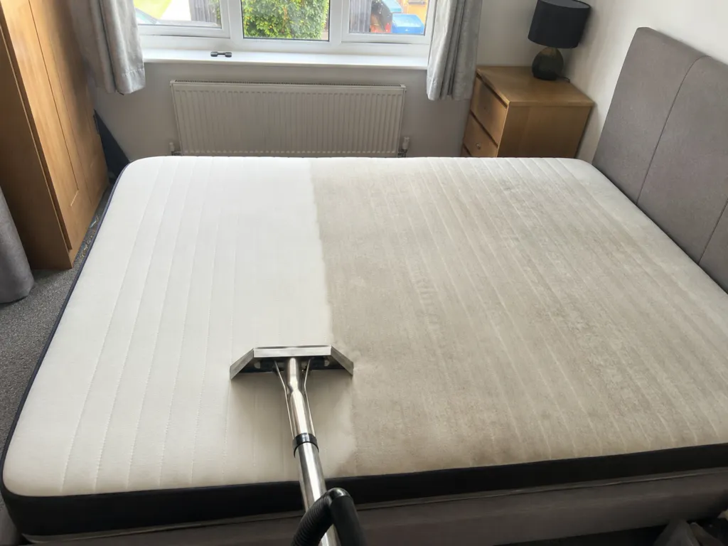 Rugs and Mattresses by Pepa Cleaning